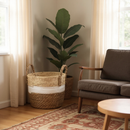 Cestos Palha Rattan Cachepot Vime Boho Decoração Rustico Varios Tamanhos Plastificado