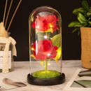 Luminária cúpula acrílico GRANDE 20 cm A Bela e A Fera A Rosa Encantada vermelha azul amarela preta O Pequeno Príncip
