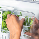 Organizador Geladeira Clear Fresh Ou 2,3L com Cesto Drenagem - Alimentos Frescos