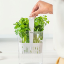 Organizador Geladeira Clear Fresh Ou 2,3L com Cesto Drenagem - Alimentos Frescos